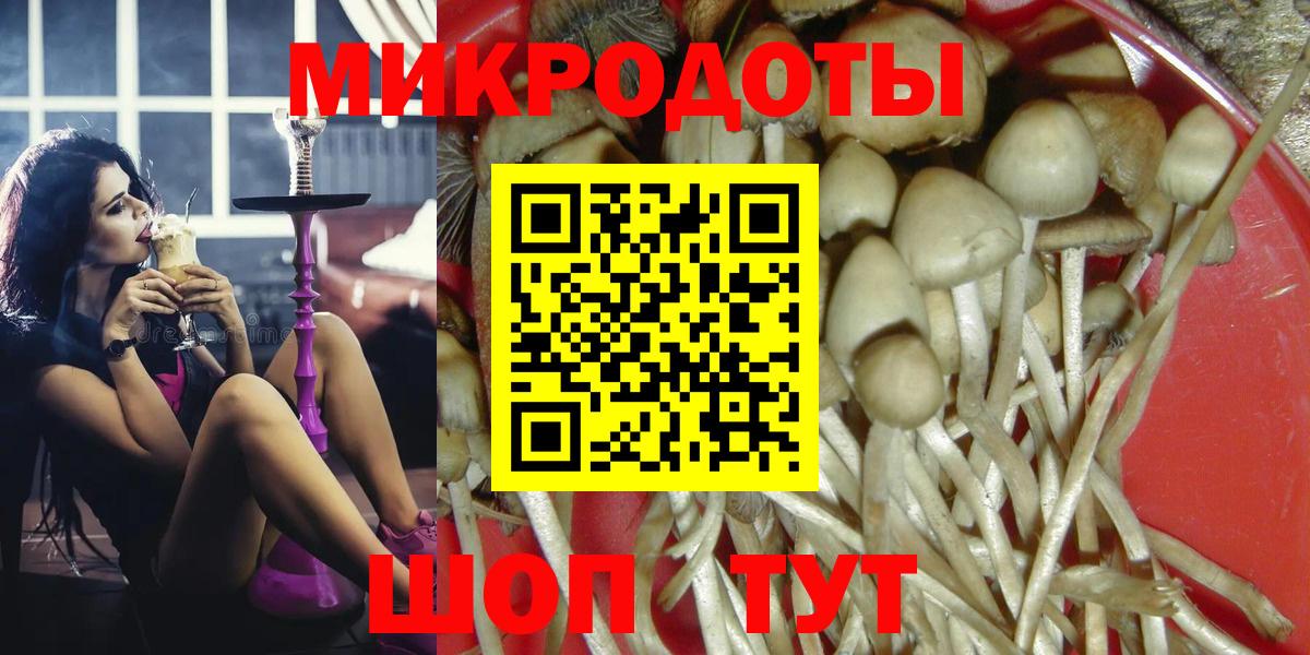 Псилоцибиновые грибы Psilocybe Саянск