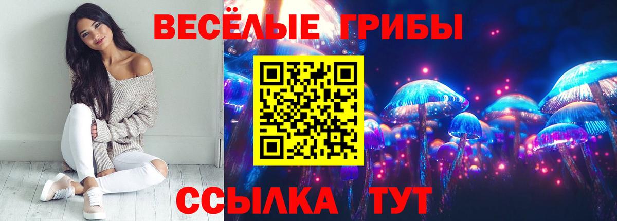 Саянск  Галлюциногенные грибы прущие грибы  Вход с VPN 